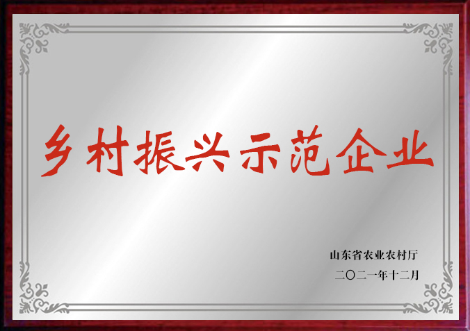 山东省乡村振兴示范企业